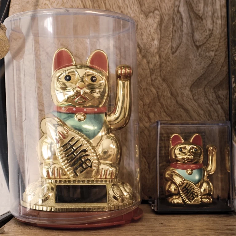 cats